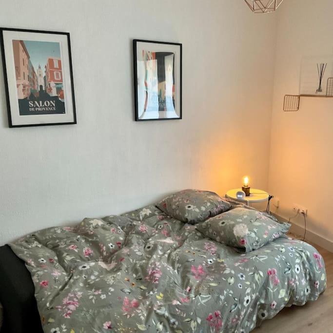 סלון-דה-פרובנס Appartement Hyper Centre Climatise מראה חיצוני תמונה
